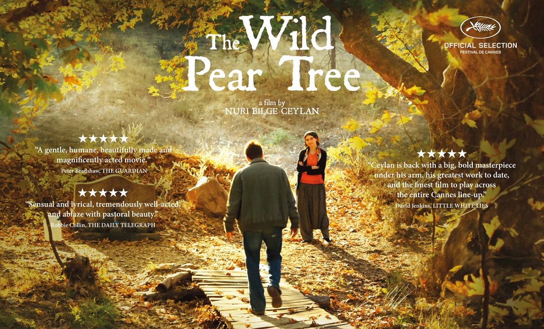 Review phim The Wild Pear Tree: loài “xương rồng” trên đồi hoang